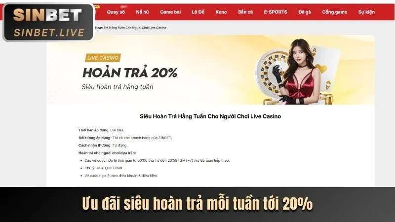 Hình ảnh các lợi ích VIP độc quyền